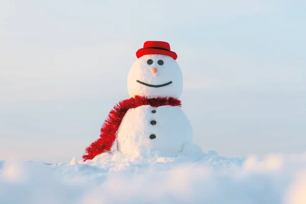 Bonhomme de neige drôle en chapeau noir — Photo