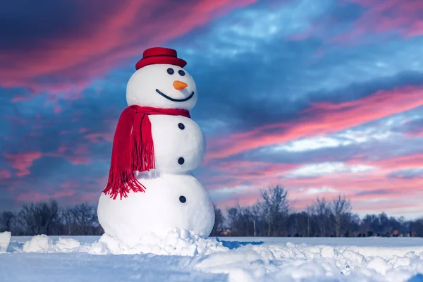 Bonhomme de neige drôle en chapeau noir — Photo