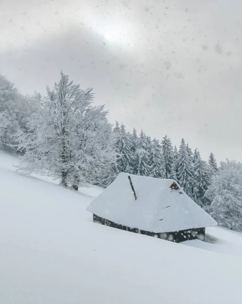 Пейзаж со снежным домом — стоковое фото