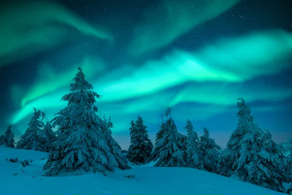 Luzes do norte na floresta de inverno — Fotografia de Stock