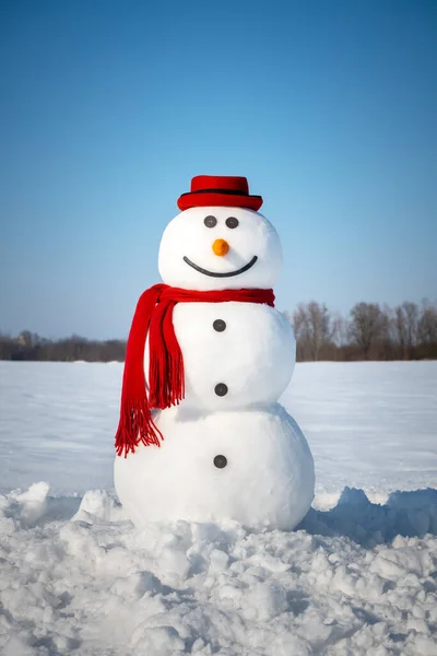 Lustiger Schneemann mit stylischem roten Hut — Stockfoto