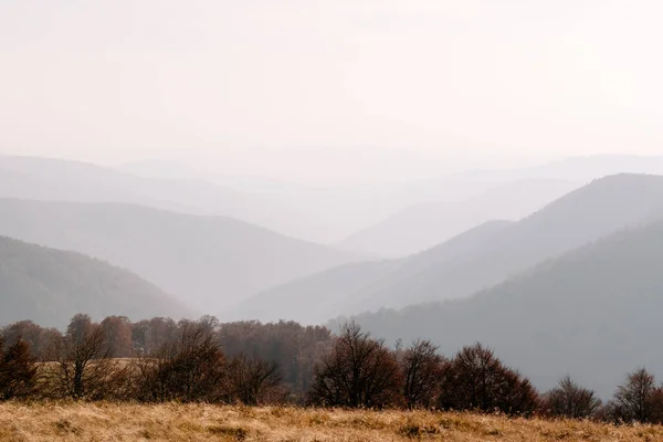 Montanhas de outono pitorescas com floresta de faia vermelha — Fotografia de Stock