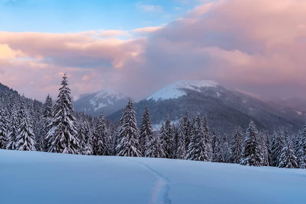 Güneşin doğuşuyla parlayan karlı dağlardaki muhteşem kış manzarası — Stok fotoğraf