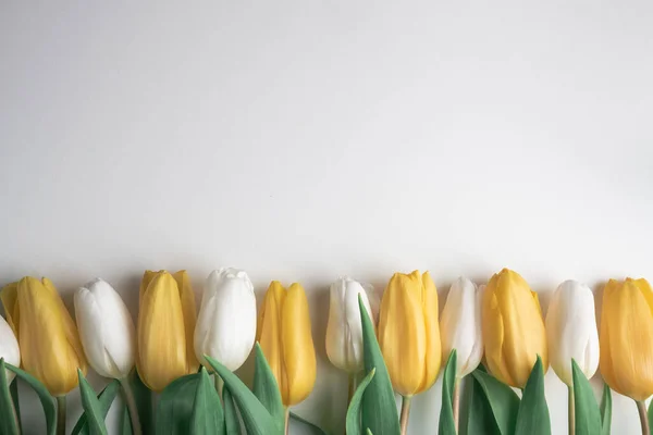 Witte en gele tulpenbloemen op wit papier — Stockfoto