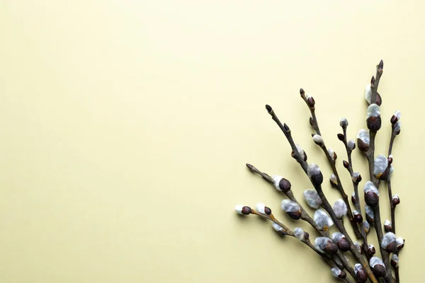 Spring Easter top view background with willow twigs — Stock Photo, Image