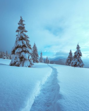 Muhteşem kış manzarası