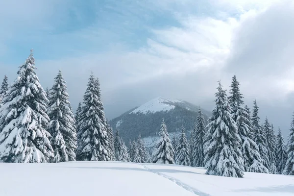 Fantastisch winterlandschap — Stockfoto