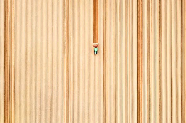 Trator solitário no campo agrícola com fileiras de solo arado — Fotografia de Stock