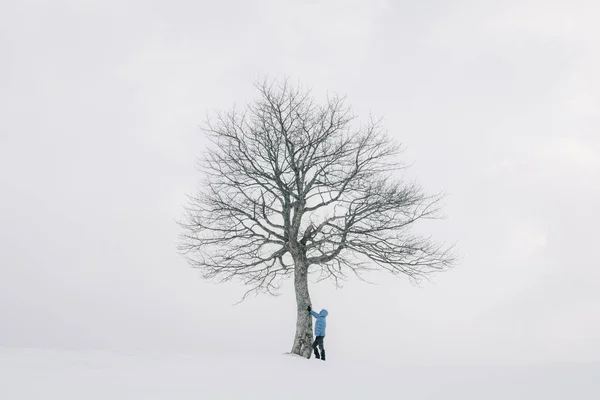 Paesaggio incredibile con un uomo vicino albero nevoso solitario — Foto Stock