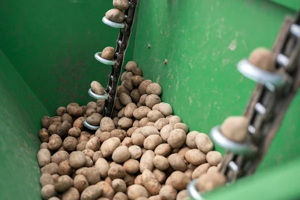 Planting potatoes machine in the springtime closeup — Zdjęcie stockowe