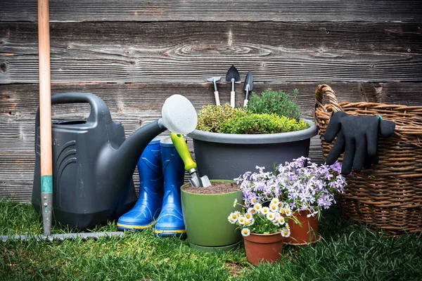 Gartenblumen, Pflanzen und Werkzeuge auf einem hölzernen Hintergrund — Stockfoto