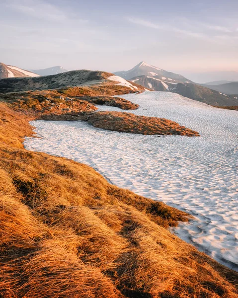 Uitzicht Grazige Heuvels Met Oranje Slagsokken Besneeuwde Bergen Achtergrond Dramatische — Stockfoto