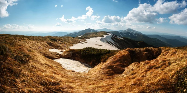 View Grassy Hills Orange Tussocks Snowy Mountains Background Dramatic Spring — Stock Photo, Image