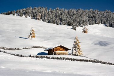 Gün doğumunda Alpe di Siusi otlağında küçük ahşap kulübe olan resimli manzara. Seiser Alm, Dolomitler, İtalya. Karlı tepeler turuncu tarla kuşu ve Sassolungo ve Langkofel dağları grubu