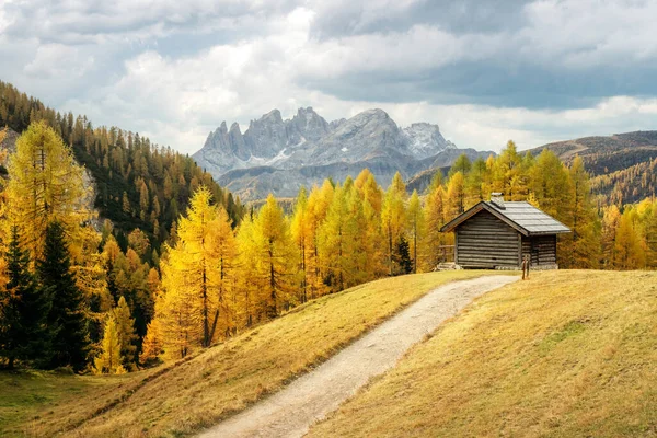 Niesamowity Widok Jesieni Dolinie Valfreda Włoskich Alpach Dolomitowych Drewniana Kabina — Zdjęcie stockowe