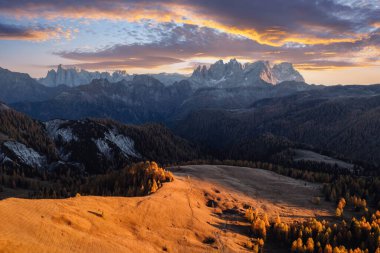 İtalyan Dolomite Alpleri 'ndeki Valfreda Vadisi' nde muhteşem bir sonbahar manzarası. Sarı çimenler, turuncu tarlalar orman ve arka planda karlı dağlar. Dolomitler, İtalya. Peyzaj fotoğrafçılığı