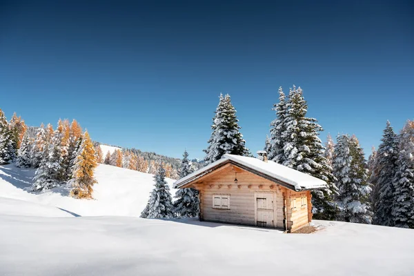 日出时分 美丽的风景秀丽 草地上有一个木制小木屋 Seiser Alm Dolomites 意大利 有橙色落叶松 萨索伦戈和朗科费尔山群 — 图库照片