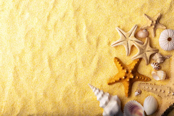 Vacations Summer Time Concept Starfish Sea Shells Clear Yellow Beach — Φωτογραφία Αρχείου