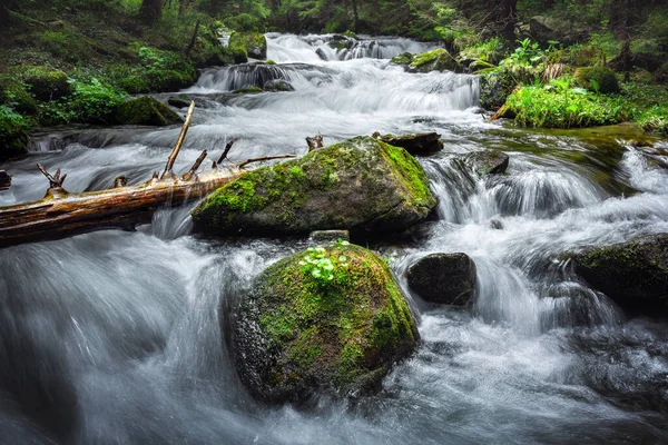 Beauty Waterfall Mountain Summer Time Flowing Water Lush Forest Wilderness — Stok fotoğraf
