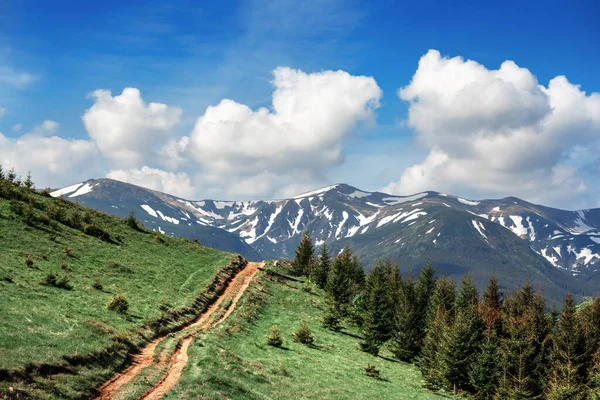 Amazing Scene Spring Mountains Green Grass Rural Road Blue Sky — Stok fotoğraf