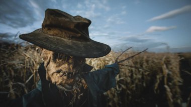 Scary scarecrow in a hat and coat on a evening autumn cornfield. Spooky Halloween holiday concept. Halloweens background
