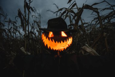 Scary scarecrow with pumpkin head in a hat and coat on night cornfield. Spooky Halloween holiday concept. Halloweens background