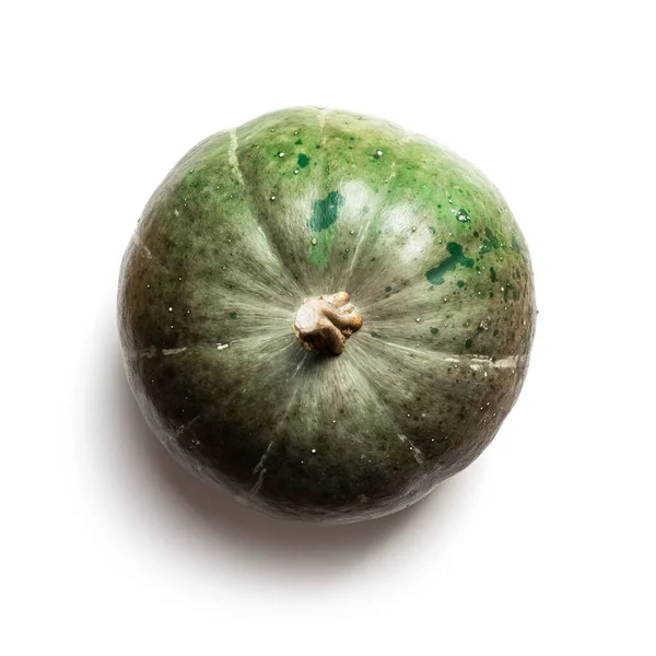 Green Pumpkin Isolated White Background Food Photography Halloween Concept Top — 스톡 사진