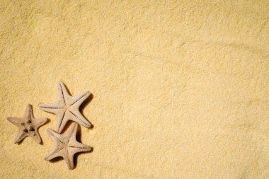 Vacations and summer time concept with starfish and clear yellow beach sand. Sea and ocean vacation background