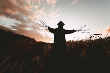 Scary scarecrow in a hat and coat on a evening autumn cornfield during sunset. Spooky Halloween holiday concept. Halloweens background