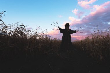 Scary scarecrow in a hat and coat on a evening autumn cornfield during sunset. Spooky Halloween holiday concept. Halloweens background