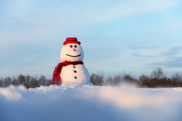 Rolig Snögubbe Snygg Röd Hatt Och Röd Skalv Snöiga Fält — Stockfoto