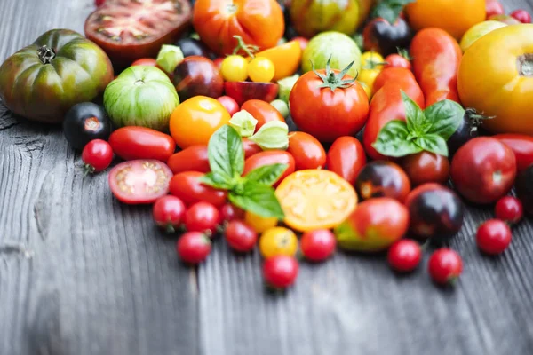 Different Varieties Kind Red Yellow Green Black Tomato Mix Wooden —  Fotos de Stock