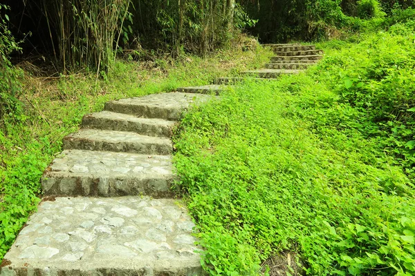 Gehweg — Stockfoto