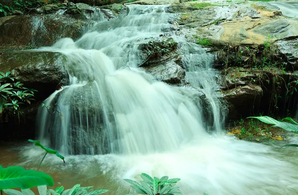 Cascada. — Foto de Stock