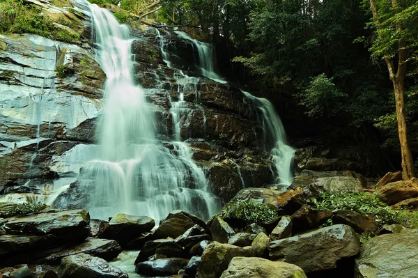 Wasserfall im tiefen Wald. lizenzfreie Stockfotos