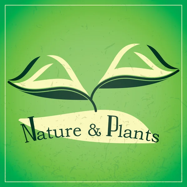 Natura e piante — Vettoriale Stock
