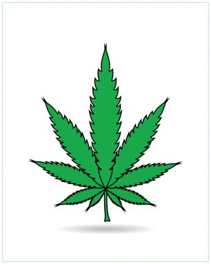 arka plan kenevir yaprağı