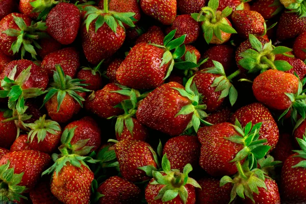 Verse rauwe veel van aardbeien — Stockfoto