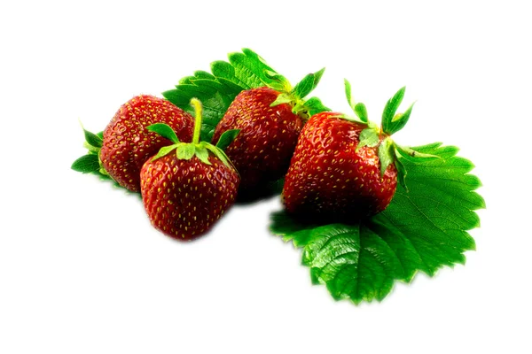 Strawberrie 水果 — 图库照片