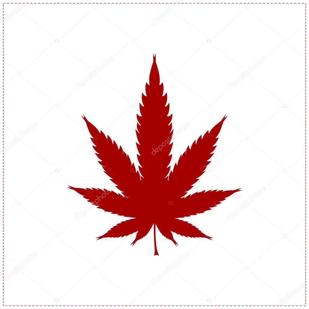Red cannabis leaf isolated on white