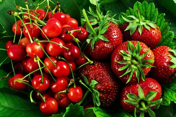 Sweet cherry and strawberry — Stockfoto