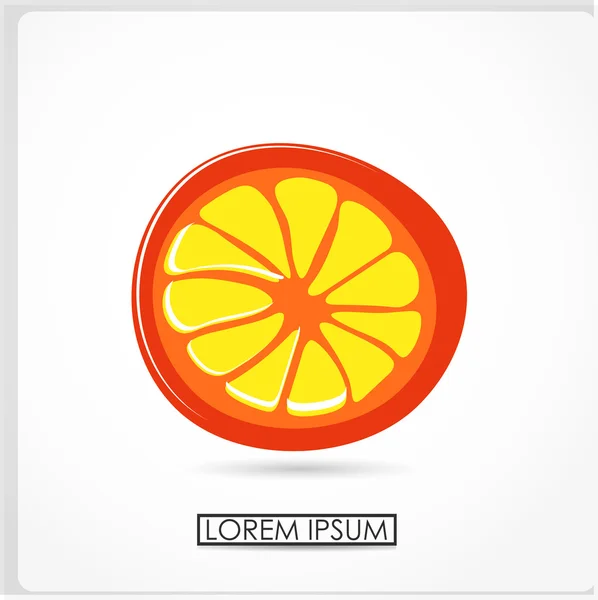 Citrusvruchten over witte achtergrond vectorillustratie — Stockvector