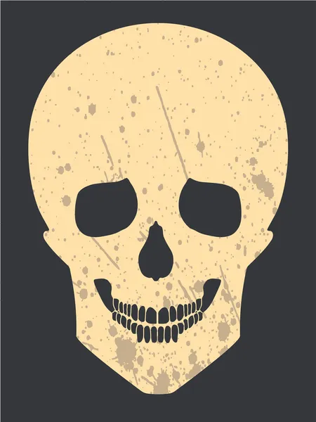 Skull — Stock Vector