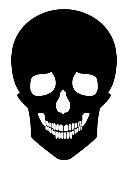 Skull — Stock Vector