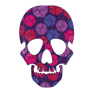 çiçek kafatası üzerinde beyaz izole