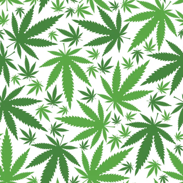 Hojas de cannabis — Vector de stock