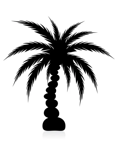 Silueta de palmera aislada en blanco — Vector de stock