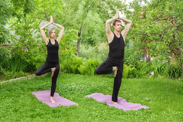 Meditando en la posición del árbol de cerca —  Fotos de Stock