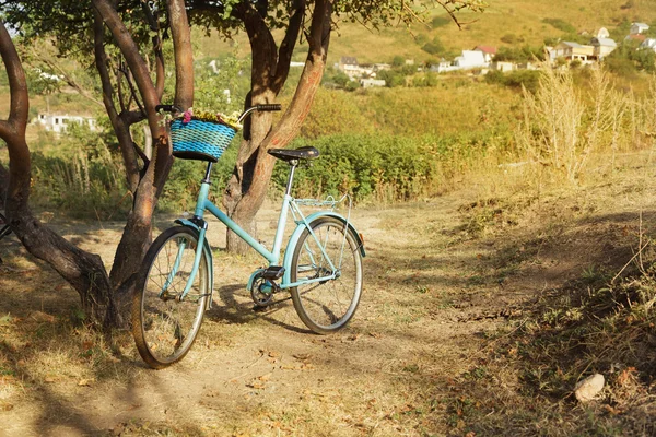 Vintage Bisiklet — Stok fotoğraf