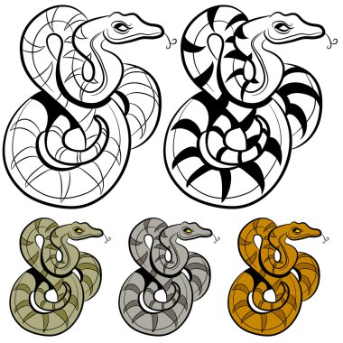 Snake Drawing vector Snake Drawing vector
